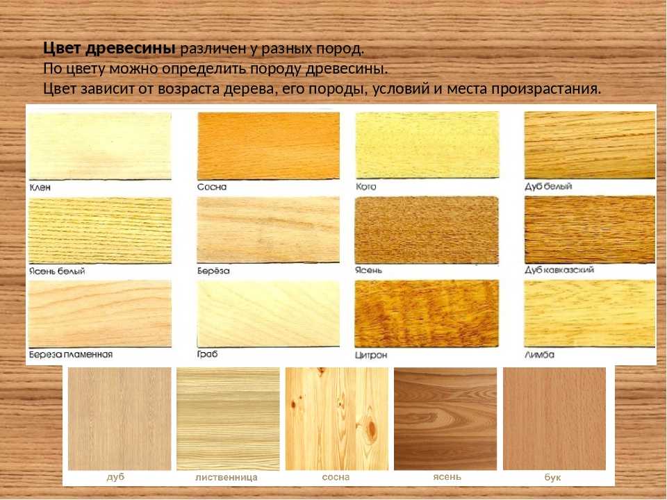 Дерево в интерьере квартиры (57 фото): оформление деревяной стены в квартире, использование натурального материала в современном стиле