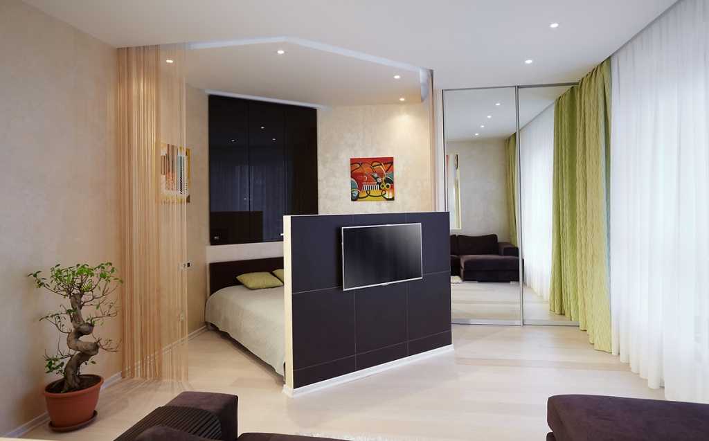 Дизайн комнаты с альковом в однокомнатной квартире фото